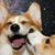 Rusty Esquerra's profile image