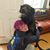 Madeline Grace Lewis's profile image