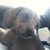 Judy Brakke's profile image