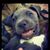 Andres Fernandez's profile image