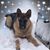 Sue Chuck's profile image