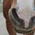 Beth Herzog Rolland's profile image