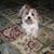 Nancy Belk Ruby's profile image