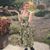 Beth Hill's profile image
