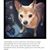 Paula Nygard's profile image