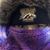 Ashley Curths's profile image
