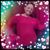 Abigail Silva's profile image