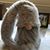 Sharon Richardson's profile image