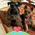 Donna Sue Sherfey's profile image
