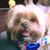 Mike Duran's profile image