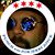 Robert Stephens's profile image