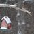 Carrie Surette's profile image