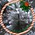Debbi Carls's profile image