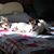 Judy Mason Underhill's profile image