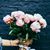 Lois Aileen Villanueva's profile image