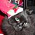 Linda Rogers's profile image