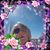 Barbara Norman's profile image