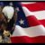Susanna Hamblin Aaron's profile image