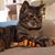 Michele Clarke's profile image