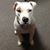 Greg Hynson's profile image