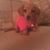 Sherry Marciante's profile image