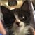 Kay Larsen's profile image