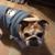 Scott Cleary's profile image