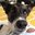 Martin D. Ciao's profile image