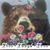 Little Bear Renée Matin's profile image