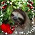 Lee Ann Zimmerman's profile image