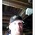 Joe Ensrud's profile image