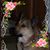 Rhonda G Phillips's profile image
