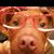 Lara Thompson's profile image