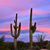 Linda Herring's profile image