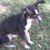 Wanda Beeson's profile image
