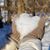Erika Christmann-Curtaz's profile image