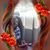 Carolyn Curtis's profile image