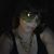 Lisa Caron's profile image