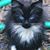 Linda Henderson Perry's profile image