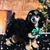Jo Stillian Ingalls's profile image