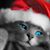 Bonnie Loch's profile image