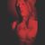 Daryll Howe's profile image