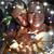 Dianna Bertram Bell's profile image