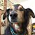 Barbra Braye Bolinger's profile image