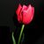 Carmen Lydia Matos's profile image