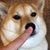 Rob Zeh's profile image