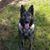 Mandy Voss's profile image