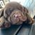 Teddy Treworthy's profile image