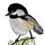 Teresa Wiitanen's profile image