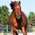Lynn McEnespy's profile image